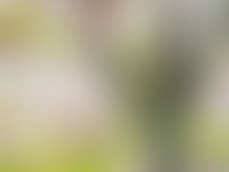 混群は野鳥カメラマンにはフィーバーかな