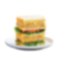 TUNA MAYONNAISE