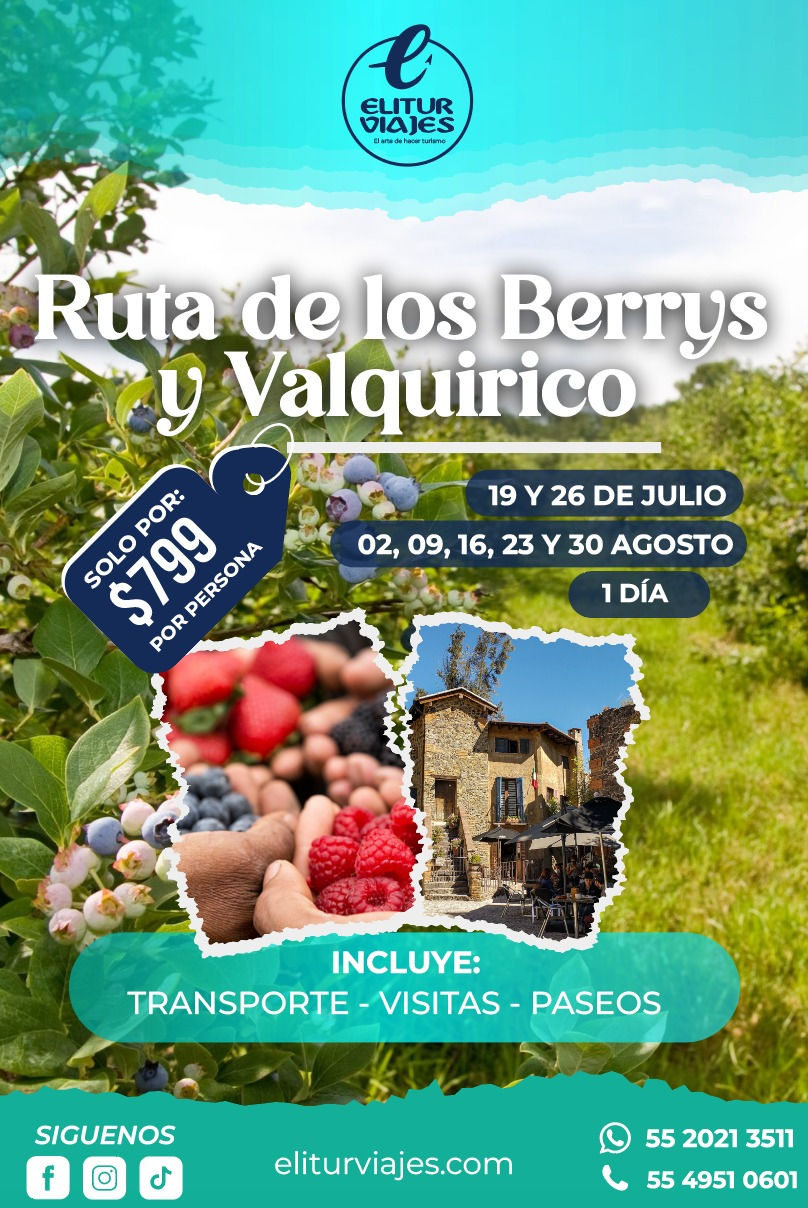 RUTA DE LOS BERRYS, PUEBLA JULIO 19 Y 26- AGOSTO 02,09,16, 23, 301 DÍA