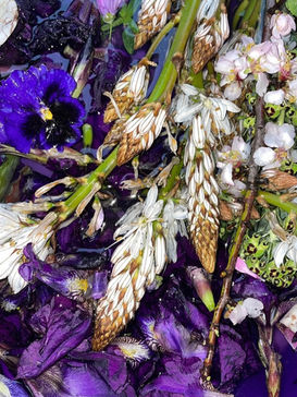 teinture naturelle
couleur végétale
pigments naturels
teinture artisanale
palette organique
teinture écologique
couleur de la nature
teinture feu de bois
récolte textile
textile durable
coloration traditionnelle
art botanique
extraction végétale
teinture aux plantes
esthétique brute
beauté naturelle
natural dye
plant-based color
botanical pigment
artisanal dyeing
organic palette
eco-friendly dye
nature-inspired color
wood fire dyeing
textile harvest
sustainable textile
traditional coloring
botanical art
plant extraction
earthy tones
raw beauty
nature hues