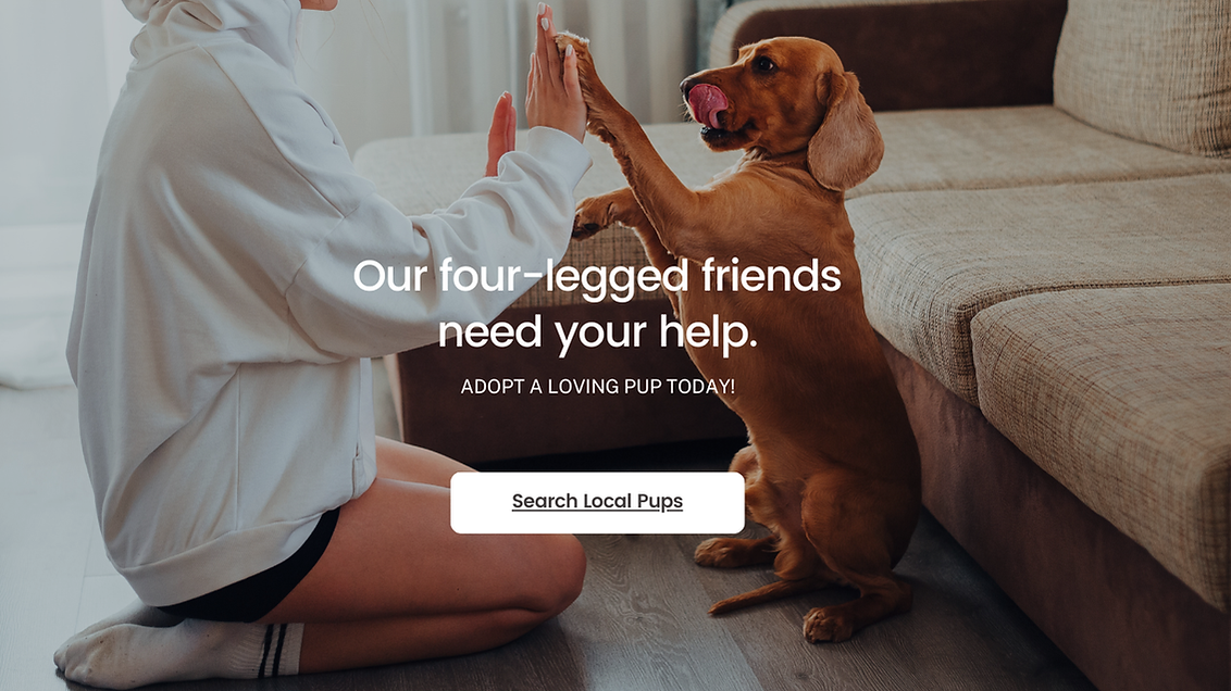 Happy dog with paws up, link to adoptable dogs