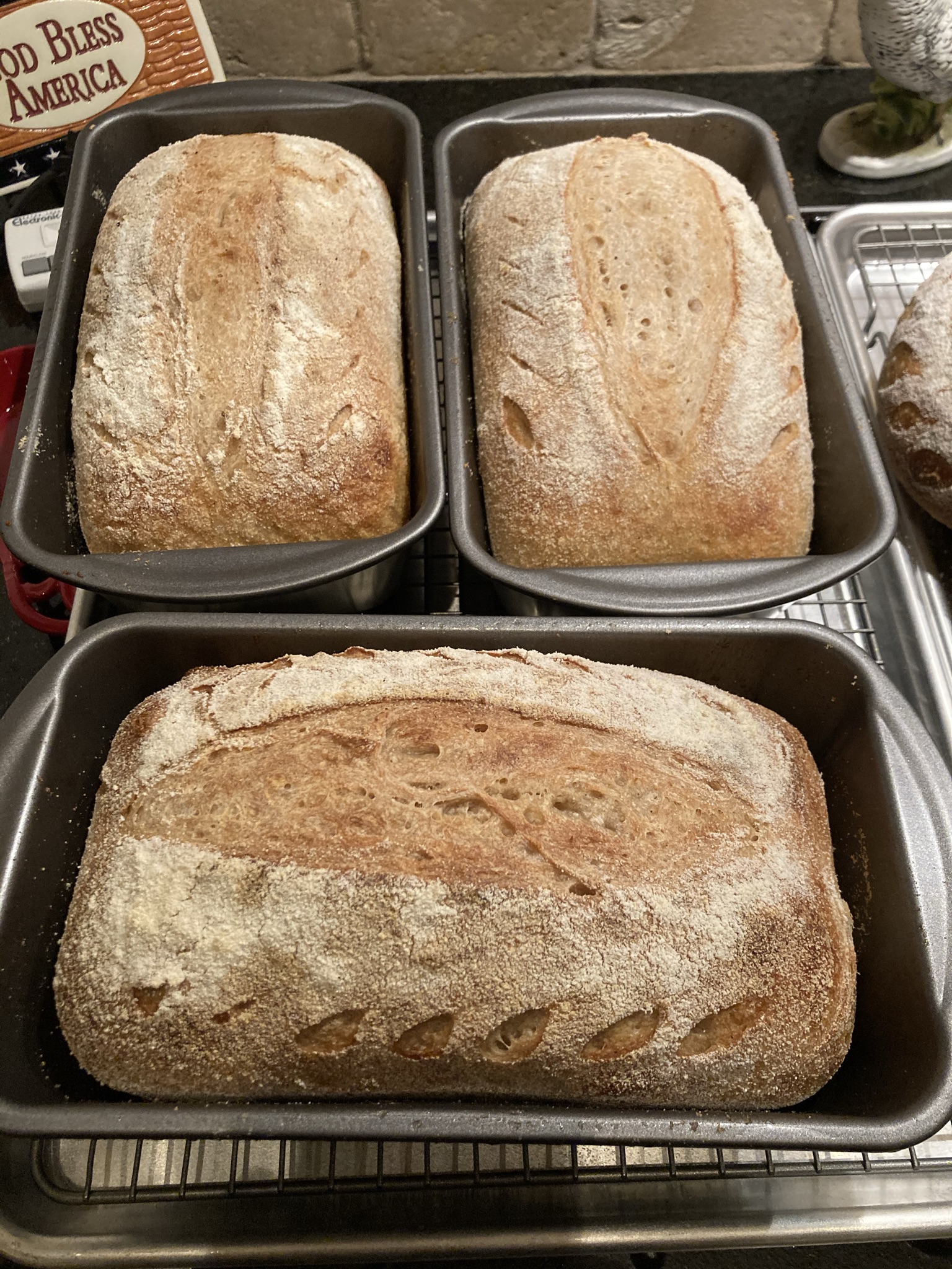 Wheat Sourdough