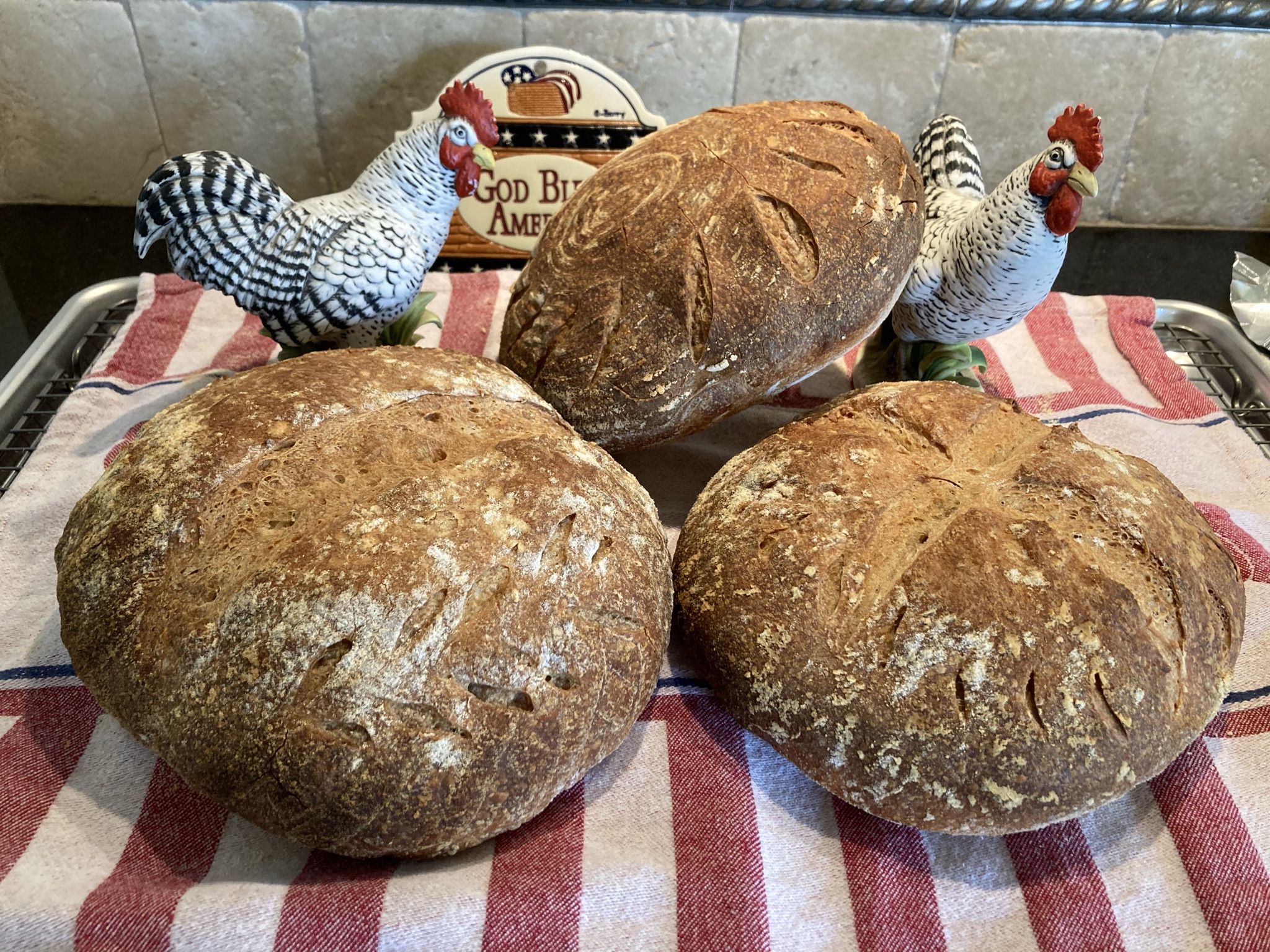 Rustic whole wheat