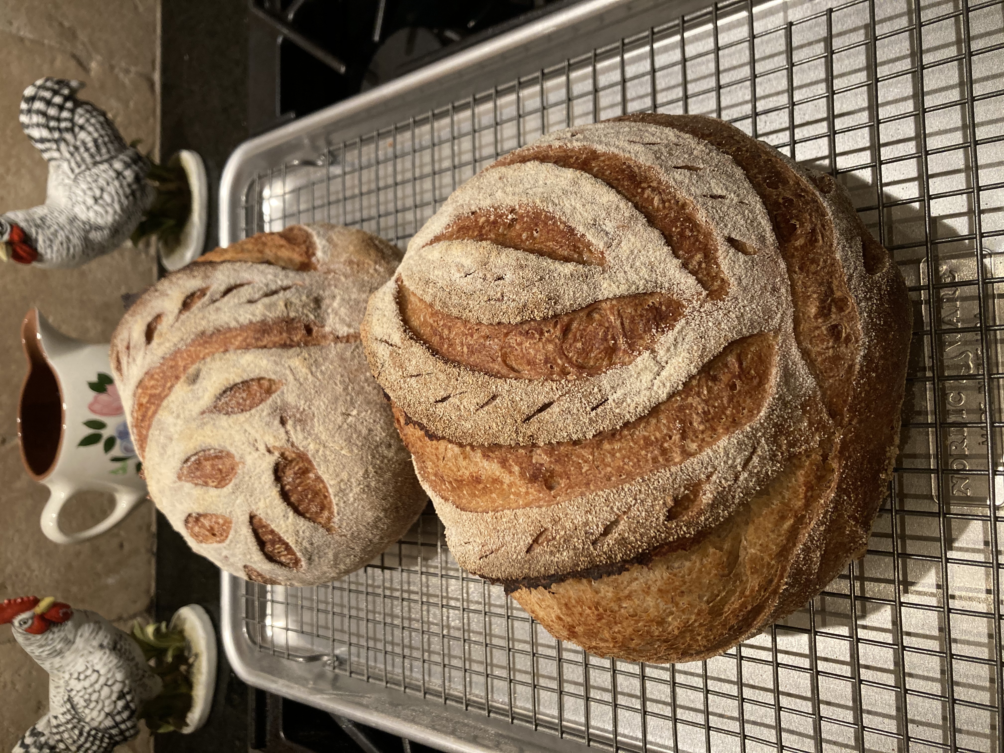 Wheat Sourdough