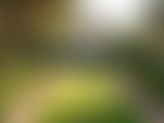 Diseño y mantenimiento de espacios verdes en Pollença