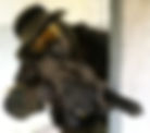 image1.jpeg