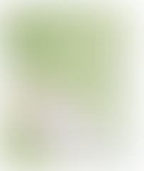 vol.16 訪問着と付け下げ