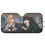 Thumbnail: Pwr and Kbn Sunshade