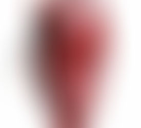 Spring Winding Air Hose Reels