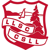 LLSC - LOGO 1bit.png