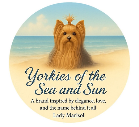 Yorkies Of The Sea And Sun