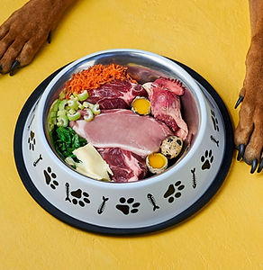 Raw-Feeding-Dogs-Worth-it.jpg