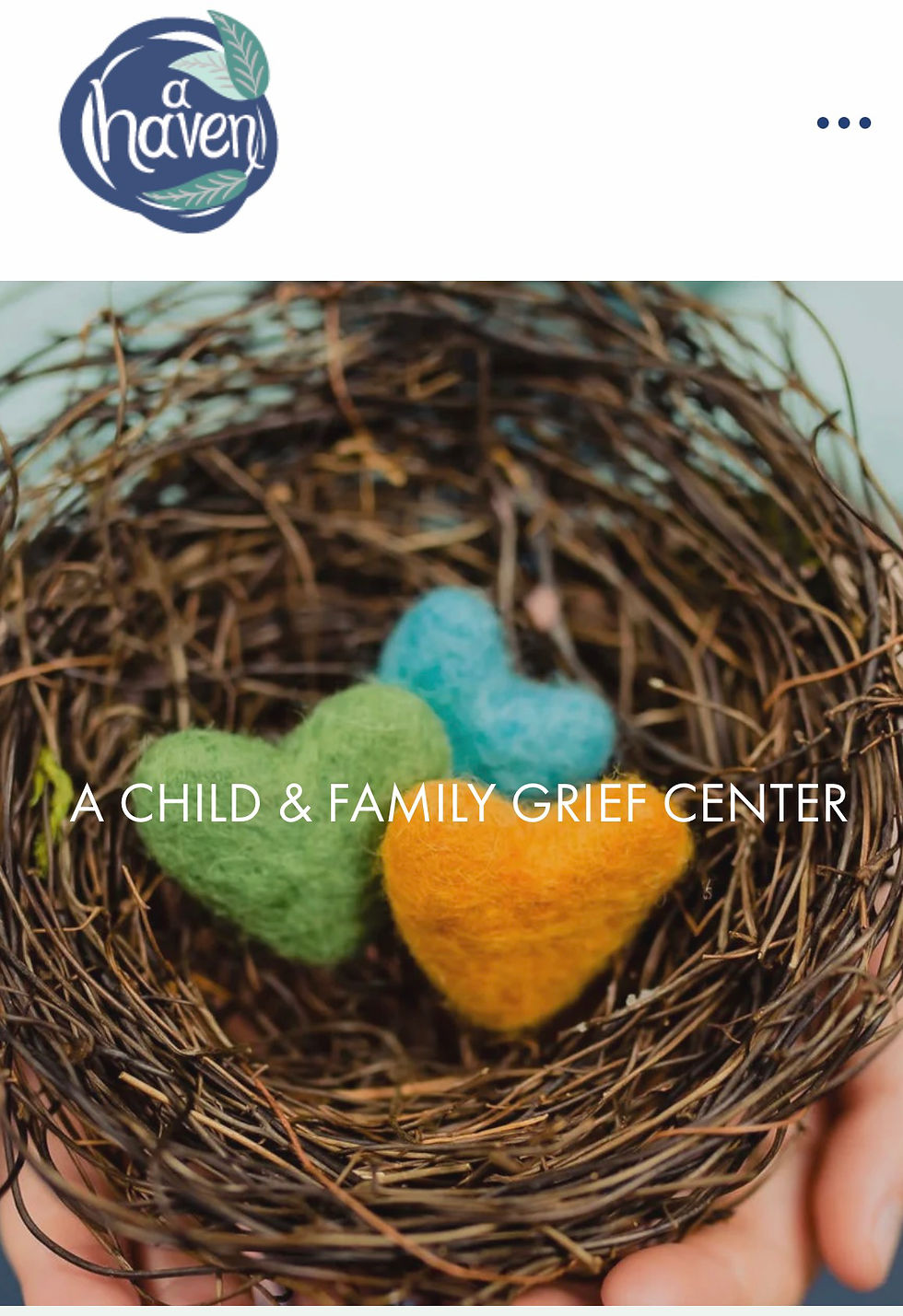 A Haven Fundraiser