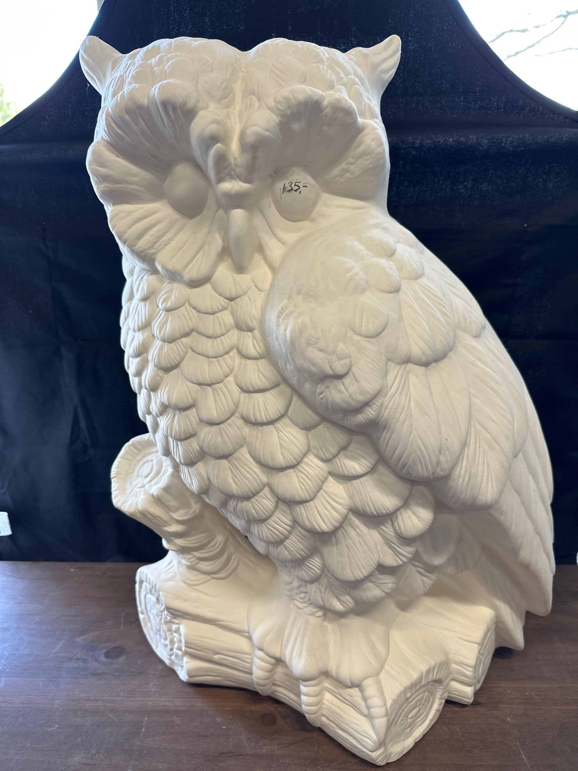 Large Owl