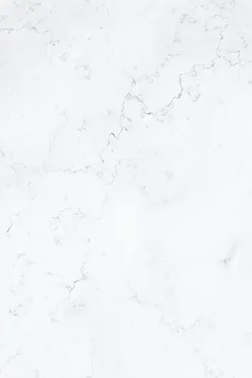 photo-1566041510394-cf7c8fe21800 (1).png