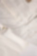 FS2963 detail.jpg