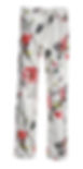 FS2003-TSH whole.jpg