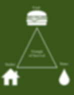 The triangle of survival, depicting the resources needed for pest infestations