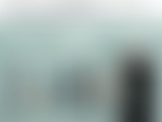 EM BU$CA DE ABRIGO! De volta à velha casa e economia ...