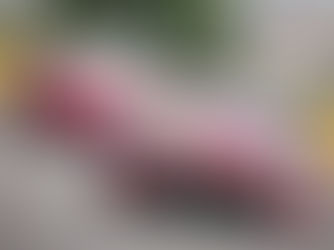 歐陽若㬢第二度在澳門GT盃封王