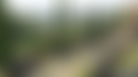 100年前，Type 13 Brescia為Bugatti贏得四連冠