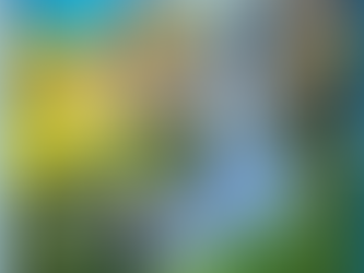 Almoço no Pé da Cascata: Uma Experiência Gastronômica na Serra Gaúcha