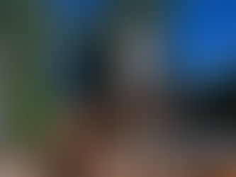 Vale dos Dinossauros: Vale a pena?