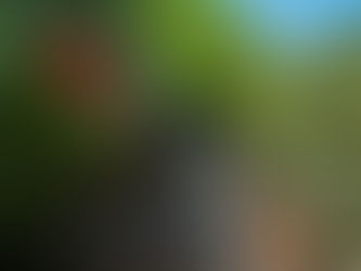 Vale dos Dinossauros: Saiba mais e tenha desconto exclusivo