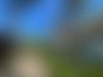 Preço do Mini Mundo em Gramado: Quanto Custa a Entrada?