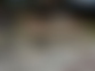 Como chegar no Mini Mundo em Gramado: melhores rotas e dicas