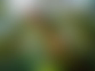 Ingresso para o Vale dos Dinossauros: Como comprar?