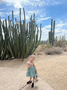 explore az - tucson - desert museum 1.jpg