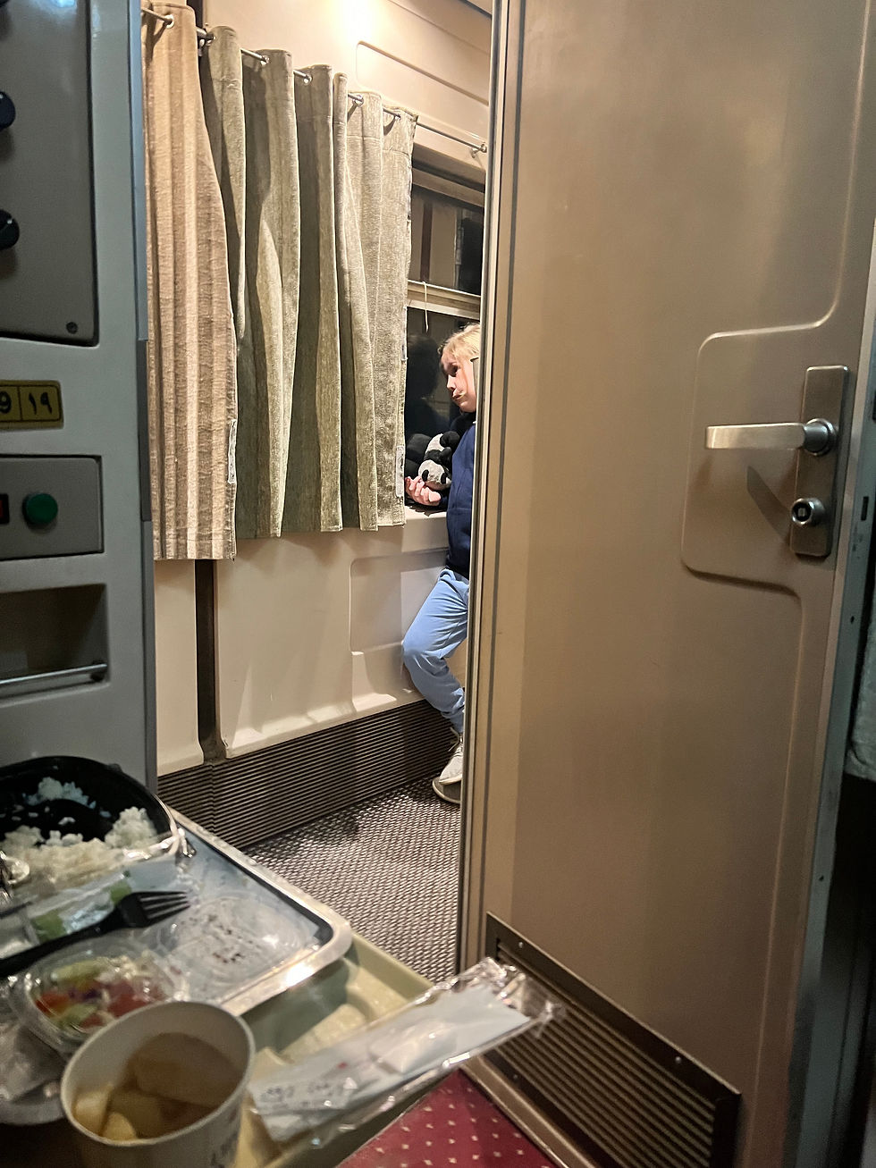 views from Egypt sleeper train with kids
