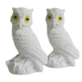 fall antique owls