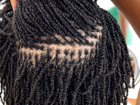 Microlocs certification training at Reeta's Organics