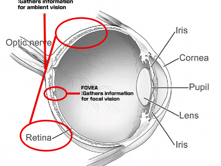 [Pre-Texture K-pop Class Research]: Unlocking Movement Textures Through Visual Techniques