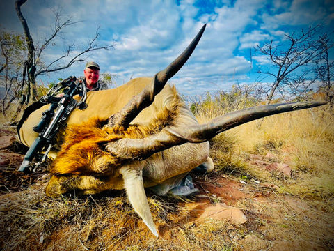 eland