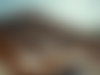 The Hidden Cost of Cheap Furniture: Environmental Impact of Landfill Waste in Australia