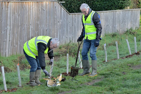 Tree Planting 3.jpeg