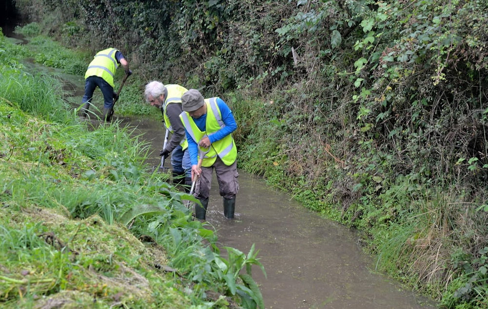 Ditch Clearing.jpeg
