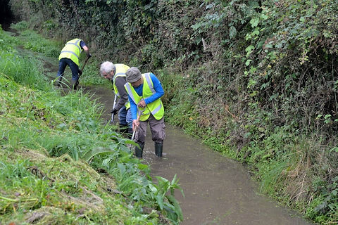 Ditch Clearing.jpeg