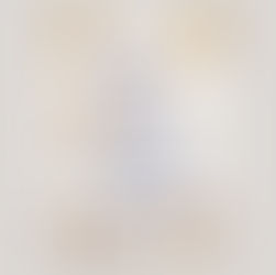 Stamtafel Zuiderzee op Zuid