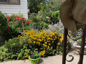 Flowers In Our Garden