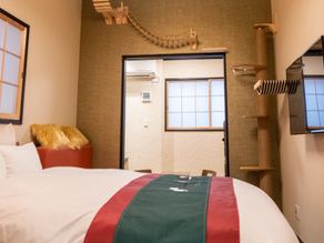 【いぬとねこにやさしいお宿 京都】の受託運営を開始いたします 。