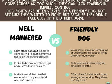A friendly dog, is not the same as a well mannered dog!
