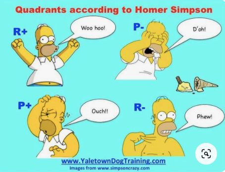 positive reinforcement, negative reinforcement