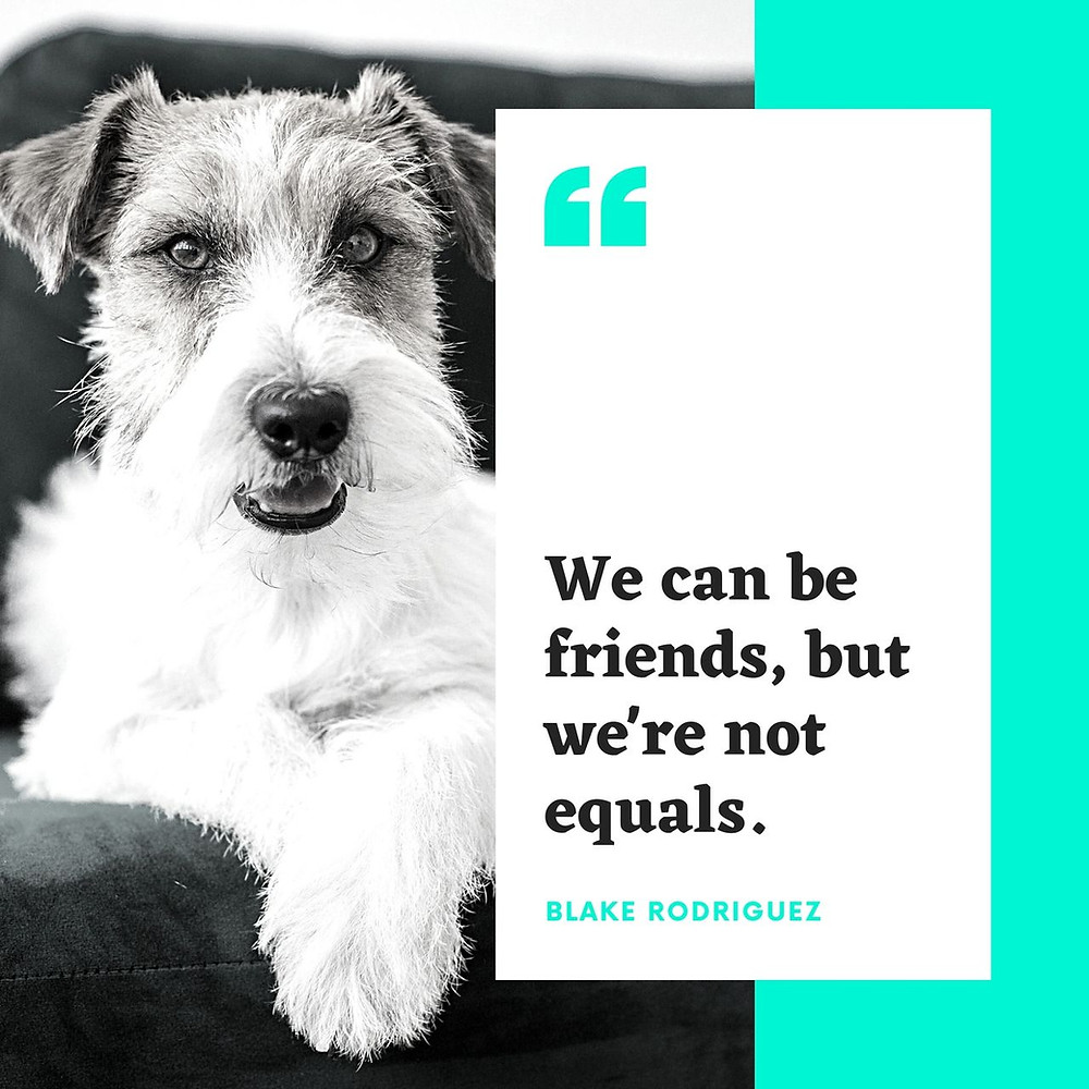 roles in dog training and relationship