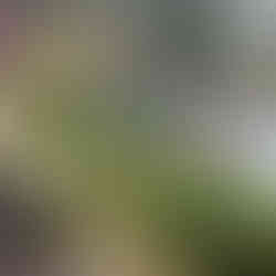 a board showing wahkeena falls