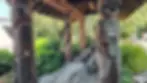 Wooden carved totem poles and a canoe under a rustic shelter, surrounded by greenery.