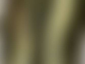 Selmer  Mark VI Tenor Mouthpieces